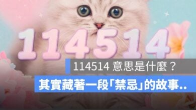 114514 意思是什麼？背後其實藏著一段「禁忌」的故事